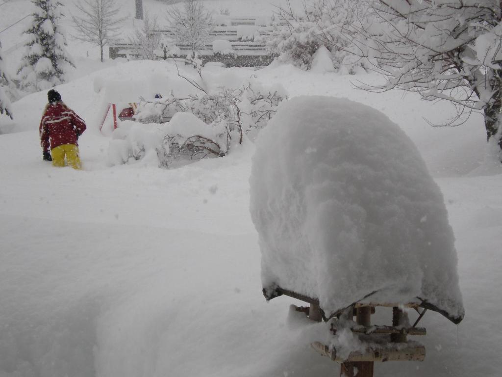 Appartamento Alpenland
