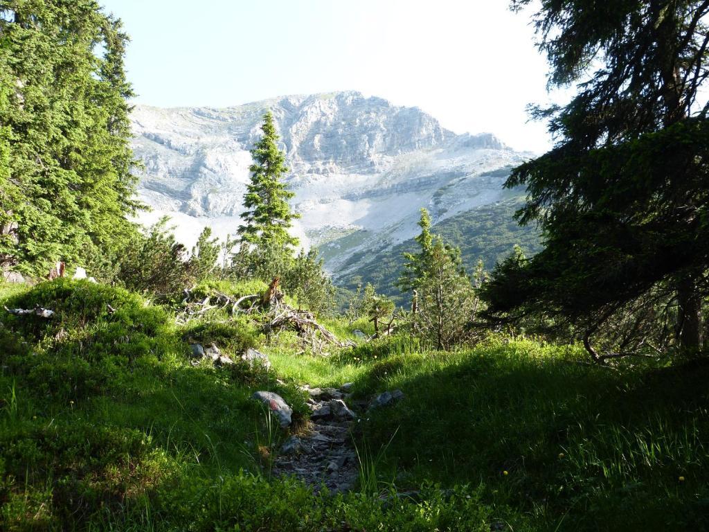 Alpenland Appartamento