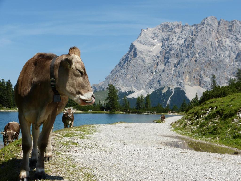 Alpenland Appartamento Lermoos
